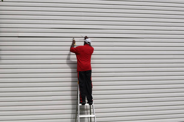 Best Stone Veneer Siding  in Falls Church, VA