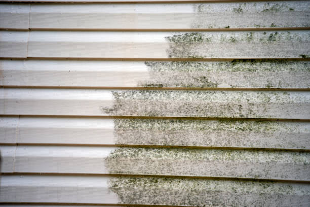 Best Stucco Siding  in Falls Church, VA