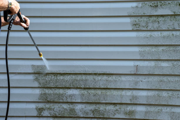 Professional Siding Installation & Repair in Falls Church, VA